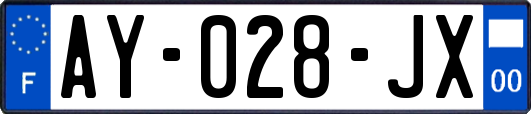 AY-028-JX
