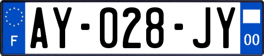 AY-028-JY