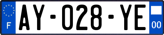 AY-028-YE