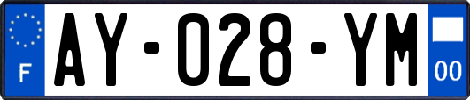 AY-028-YM