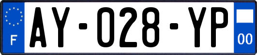 AY-028-YP