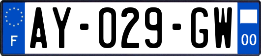 AY-029-GW