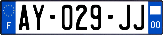 AY-029-JJ