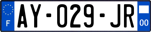 AY-029-JR