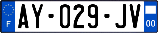 AY-029-JV