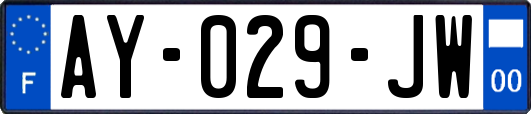 AY-029-JW