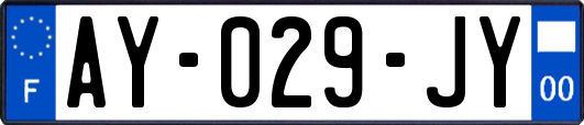 AY-029-JY