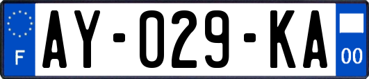AY-029-KA