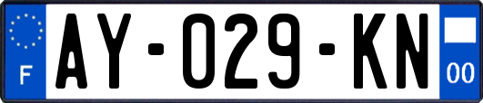 AY-029-KN