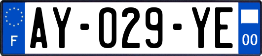 AY-029-YE
