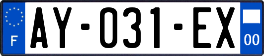 AY-031-EX
