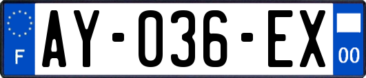 AY-036-EX