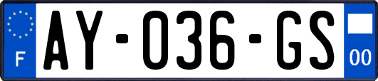 AY-036-GS