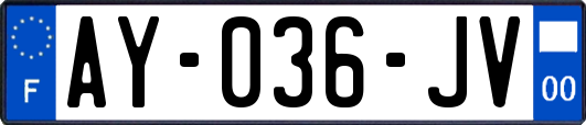 AY-036-JV