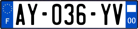 AY-036-YV
