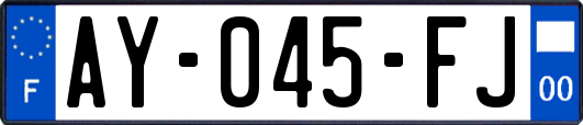 AY-045-FJ