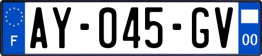 AY-045-GV