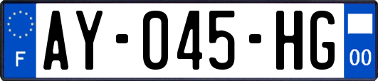 AY-045-HG