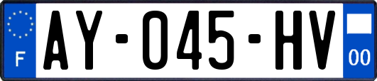 AY-045-HV