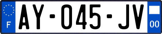 AY-045-JV