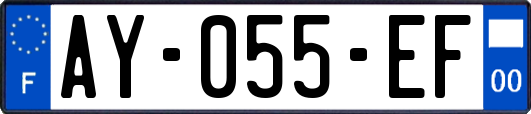 AY-055-EF