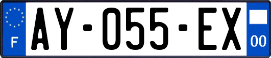 AY-055-EX