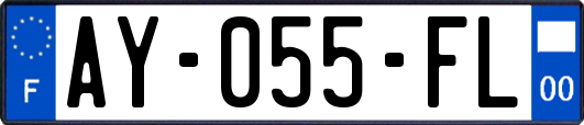 AY-055-FL
