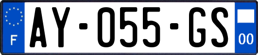 AY-055-GS