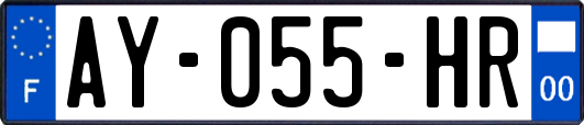 AY-055-HR