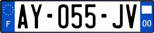 AY-055-JV