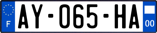 AY-065-HA