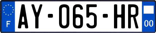 AY-065-HR