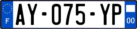 AY-075-YP