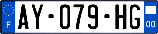 AY-079-HG
