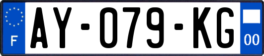 AY-079-KG