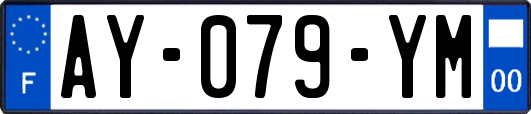AY-079-YM