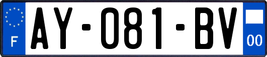 AY-081-BV