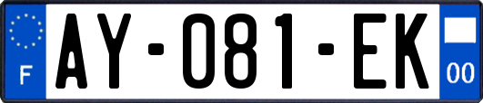 AY-081-EK