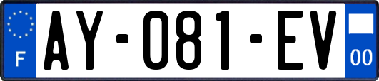 AY-081-EV