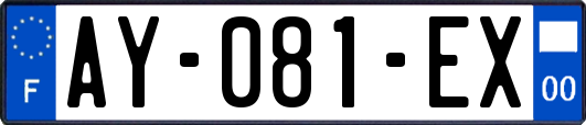 AY-081-EX