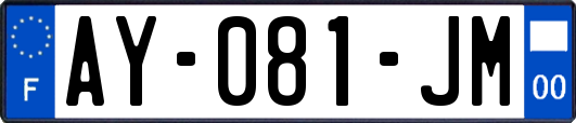 AY-081-JM