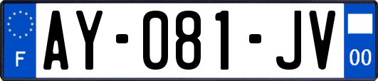AY-081-JV