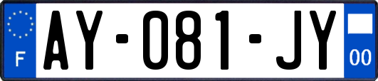 AY-081-JY