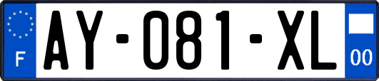 AY-081-XL