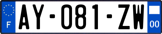 AY-081-ZW