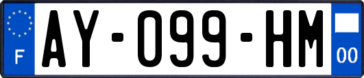 AY-099-HM