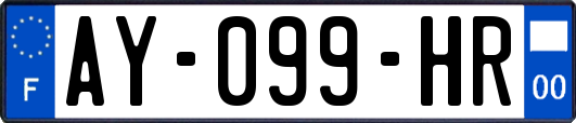 AY-099-HR