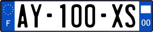 AY-100-XS