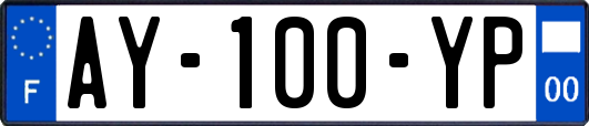 AY-100-YP