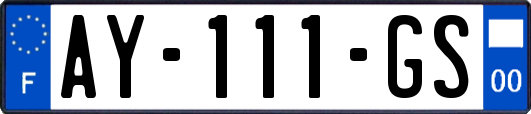 AY-111-GS